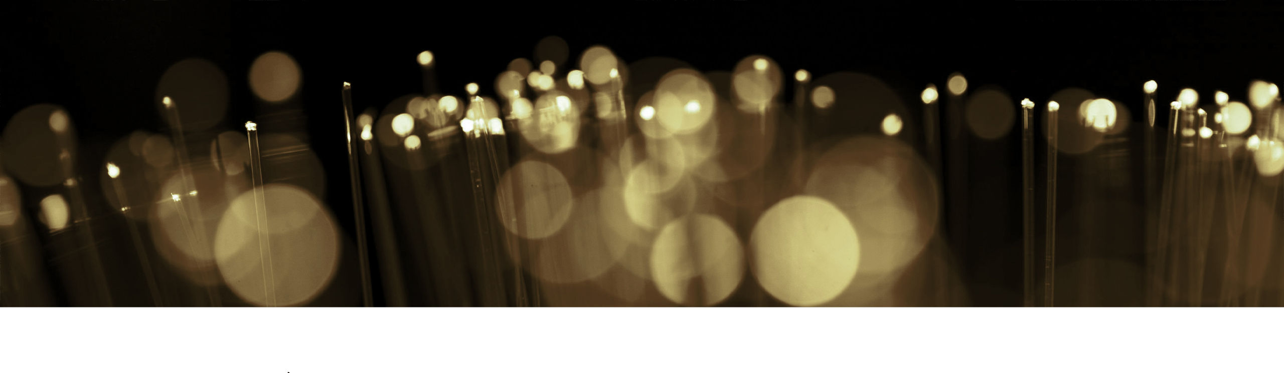Layer
